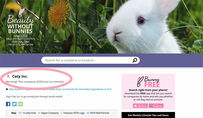 Is CoverGirl Cruelty-Free? Their Real Animal Testing Policy | Cruelty-Free  Kitty