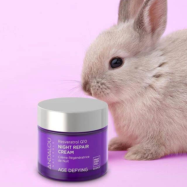 🤔 Is Maëlys Cosmetics Cruelty-Free & Vegan in 2023? THE TRUTH