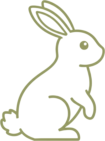 Bunny Icon